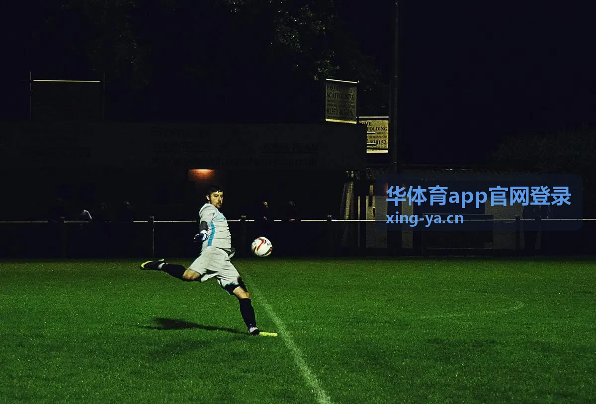 华体育app官网登录账号登录与安全设置页面示意
